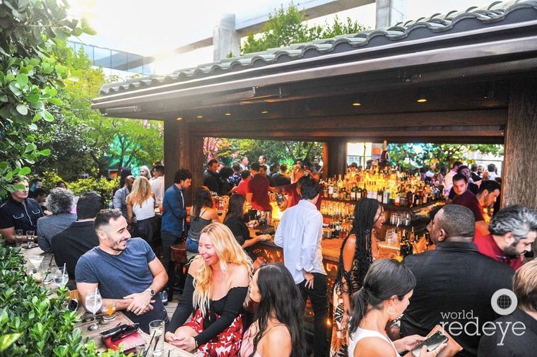 Rooftop Revelry: Miami's Sky-High Bars Where Views and Vibes Collide