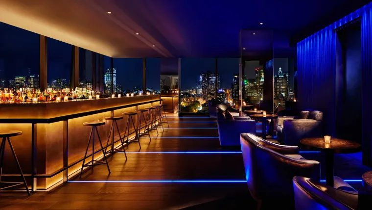 Sky High Sips & City Sights: Rooftops to Rule Your NYC Night